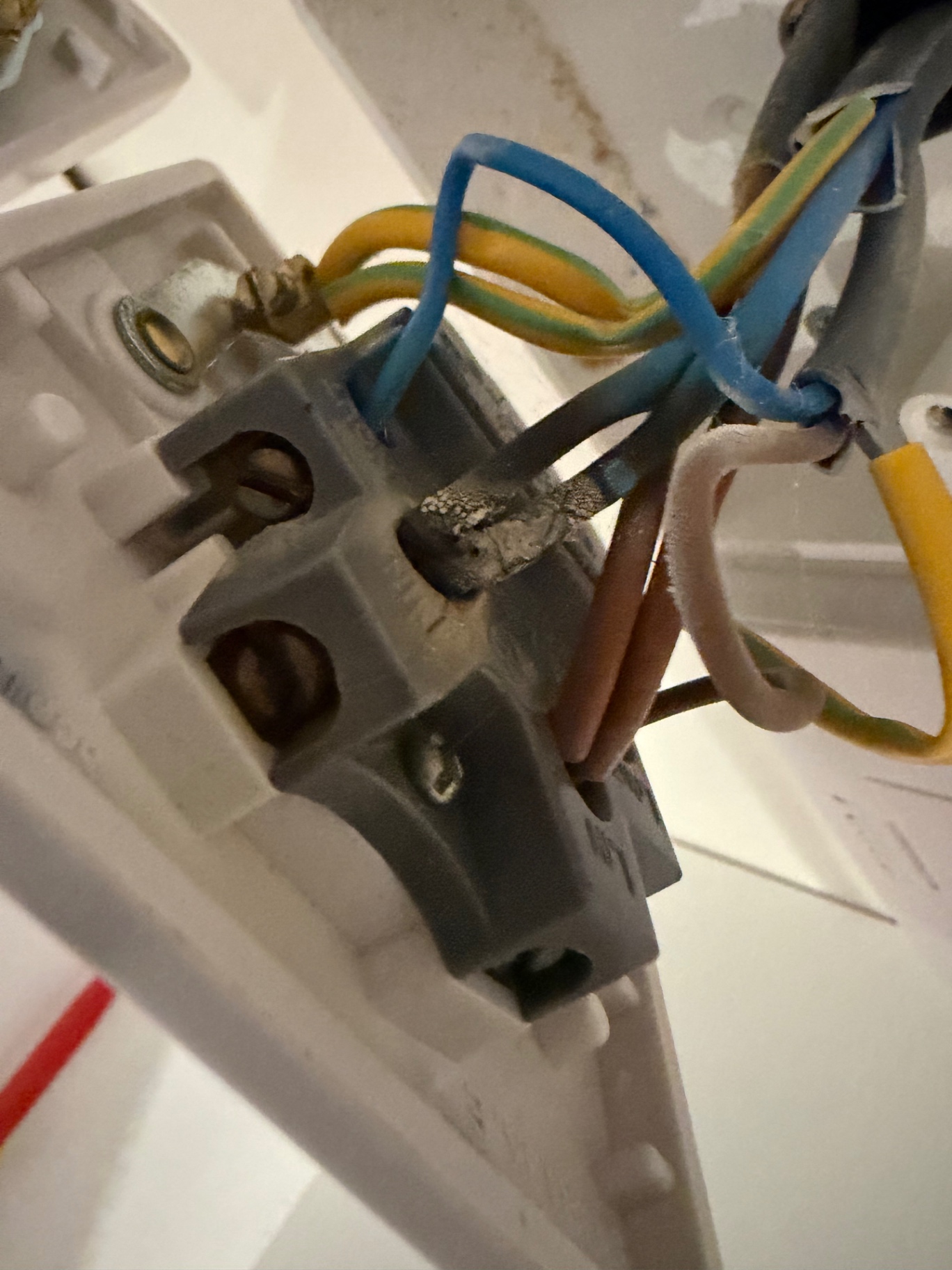 Rear of the faulty accessory showing charring on the N IN terminal block next to healthy line and CPC conductors.